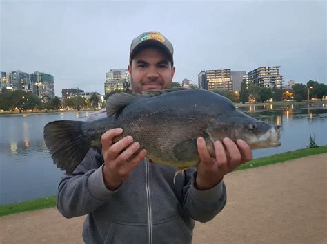 Albert Park Lake - Fishing Mad