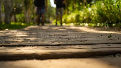 Couple Walking on the Frozen Beach in Helsinki during Winter Stock Photo - Image of beach ...