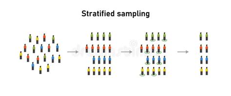 Stratified Random Sampling Statistical Method Statistics Techniques Stock Vector - Illustration ...