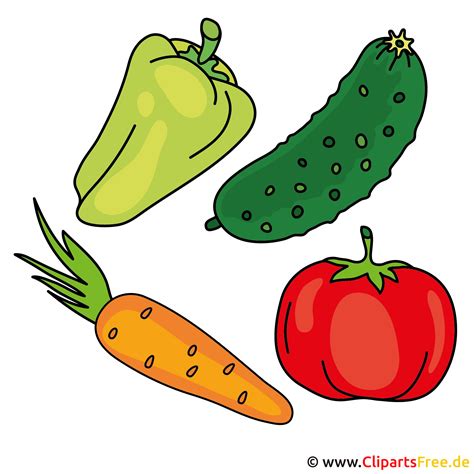 Vegetables Clip Art - Bilder für Schule