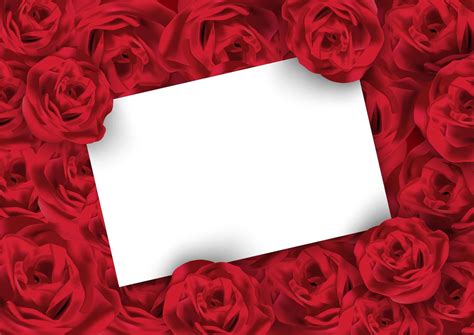 Valentines day rose background with white blank card 692571 Vector Art at Vecteezy