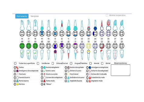 ODONTOGRAMA PARA LOS DIENTES - Docsity