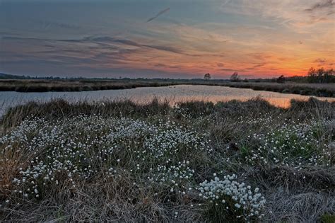 Nature restoration: Degraded ecosystem fears 'entirely speculative ...