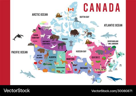 Canada map animal flat design Royalty Free Vector Image