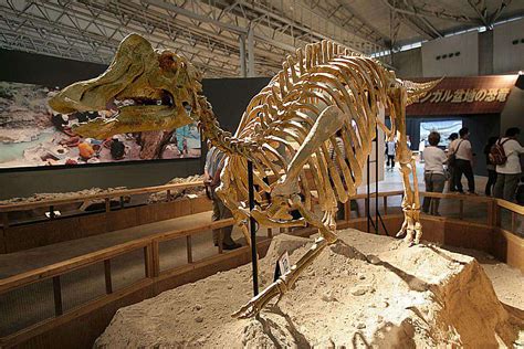 Pictures and Profiles of Duck-Billed Dinosaurs