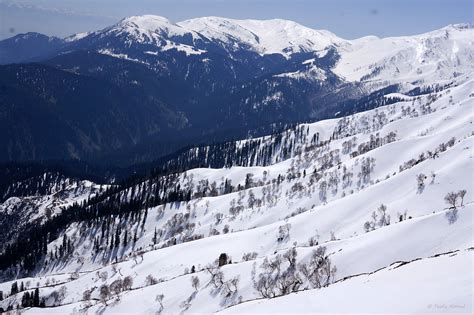 snow and shadow | @affarwat, gulmarg | Taufiq Ahmed | Flickr