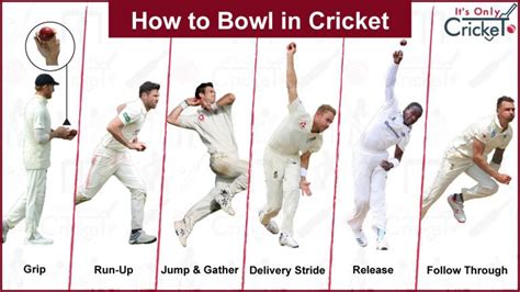 How to Bowl in Cricket – Tips & Lessons for Beginners