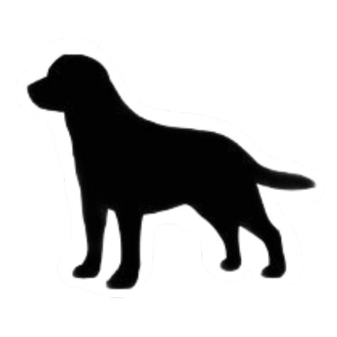 labrador black blacklab blackdog sticker by @cadence1_2 Pointer Puppies, Pointer Dog, Labrador ...