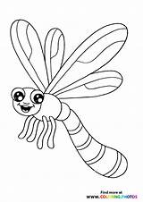 Free Printable Dragonfly Coloring Pages For Kids sketch template