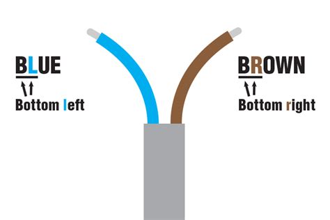 wiring colours blue and brown - Wiring Diagram and Schematics