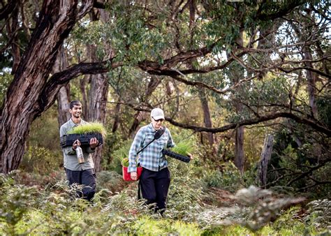 Join Us - Conservation Ecology Centre