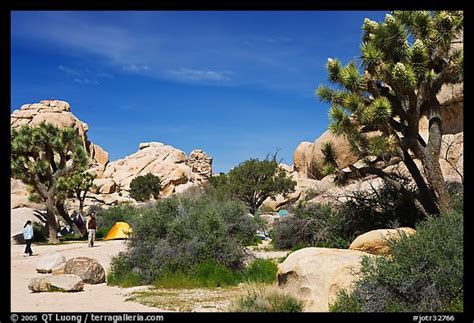 Picture/Photo: Campers, Hidden Valley Campground. Joshua Tree National Park