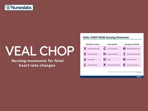 VEAL CHOP Nursing Mnemonic | Veal chop nursing, Nursing mnemonics, Nurse