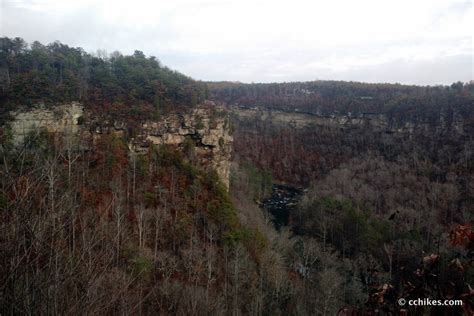 Visit Little River Canyon in northeast Alabama