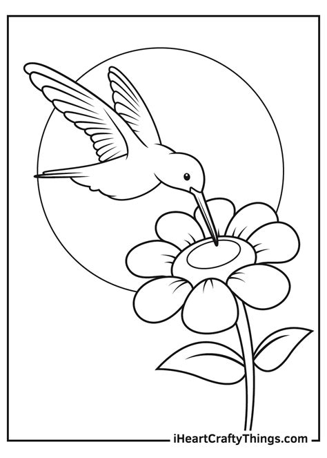 Hummingbird Coloring Pages Printable