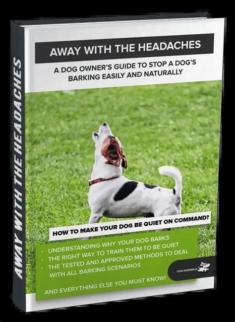 Top 10 Dog Training Books Every Dog Owner Should Read | Glamorous Dogs