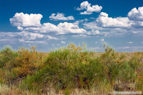 The landscapes of Kazakhstan steppe · Kazakhstan travel and tourism blog