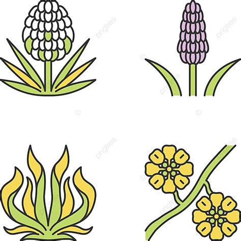 Desert Plants Color Icons Set Design Floral Clip Art Vector, Design ...