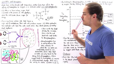 2,3 BPG and Hemoglobin - YouTube