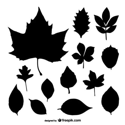 Free Graphics: Vector Leaf Silhouette