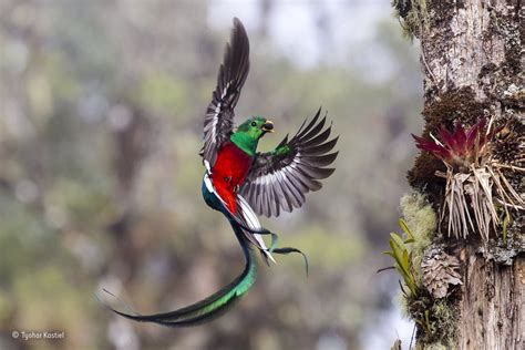 The Most Stunning Wildlife Photos of 2017 Are Here And Holy Crap ...