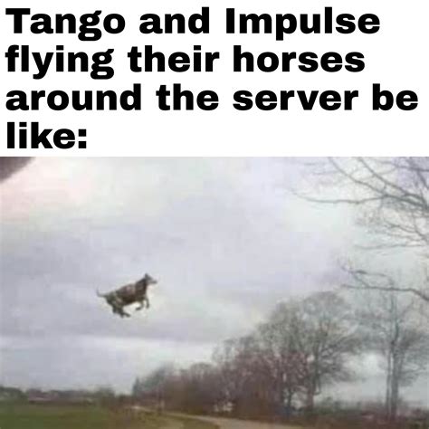 [Flying cow meme] Tango and Impulse flying around the server with slow ...