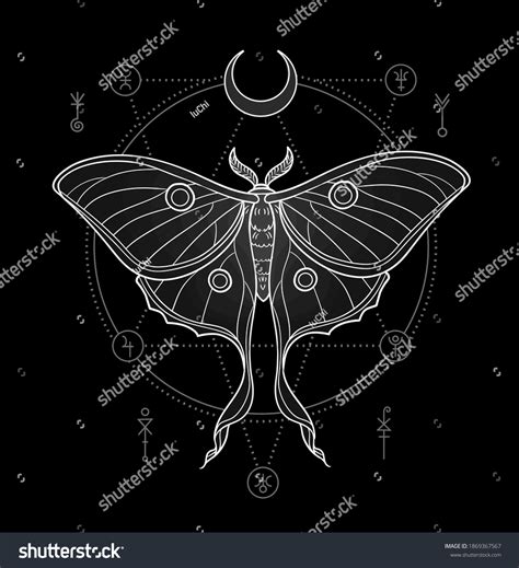 617 Luna Moth Illustration Images, Stock Photos & Vectors | Shutterstock