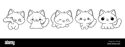 Set of Kawaii Isolated Ragdoll Cat Coloring Page. Collection of Cute ...