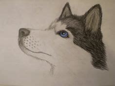 Husky Face Drawing | Husky drawing, Dog drawing, Husky tattoo