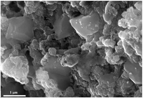 SEM images of TiO2 nanoparticles [15]. | Download Scientific Diagram