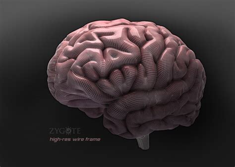 Brain Animation 3d