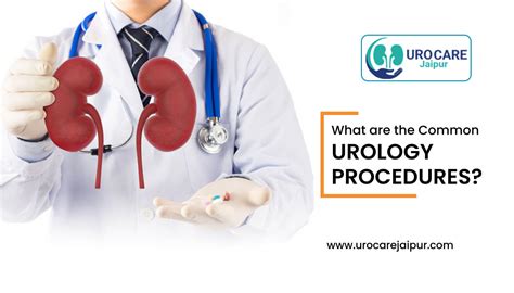 What are the Common Urology Procedures?