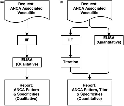 Diagnostic ANCA algorithms in daily clinical practice: evidence, experience, and effectiveness ...