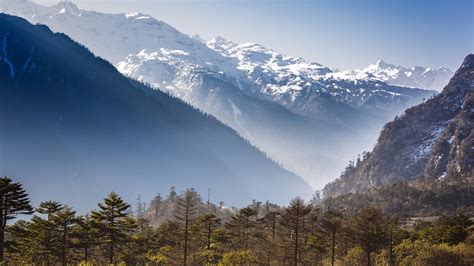 6 Sikkim hotels under Rs6,000 | Condé Nast Traveller India