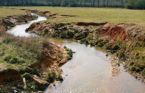 Environmental Health 3100: Stream Erosion