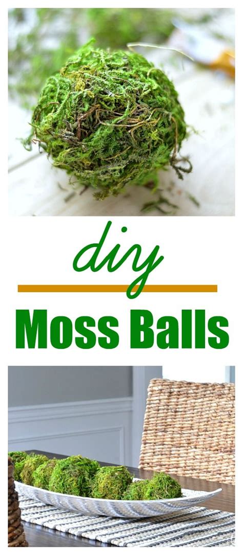 How to Make Moss Balls | Diy moss ball, Moss balls, Moss