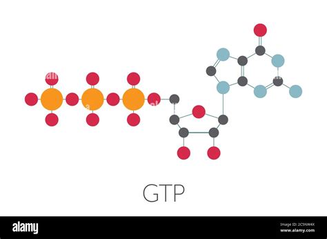 Guanosine triphosphate (GTP) RNA building block molecule. Also used as ...