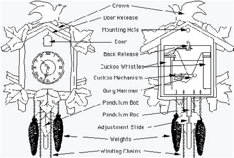 Cuckoo Clock Parts Diagram - Wiring Diagram Pictures