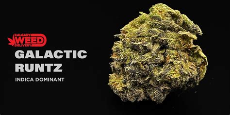 Buy Galactic Runtz Online In Calgary - Calgary Weed Delivery