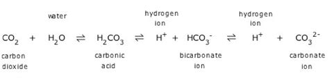 organic chemistry - Why does CO2 lowers the pH of water below 7? - Chemistry Stack Exchange