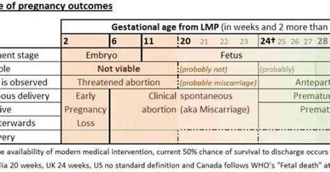 Miscarriage Symptoms | List of Signs of Miscarriage