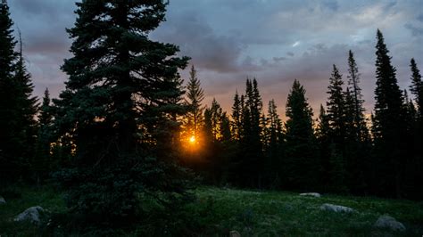 Best Free Camping near Steamboat Springs: 5 Dispersed Camping Spots - WifiBum