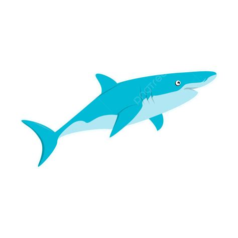 Shark Cartoon Vector Hd Images, Shark Cartoon Vector, Shark Vector ...