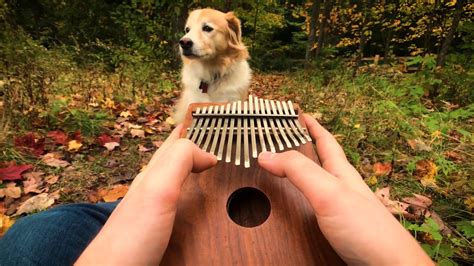 8 Best Kalimba Thumb Pianos for Beginners