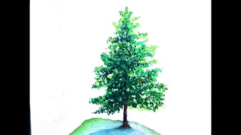 Pine Tree watercolor tutorial for beginners, how to paint step by step ...