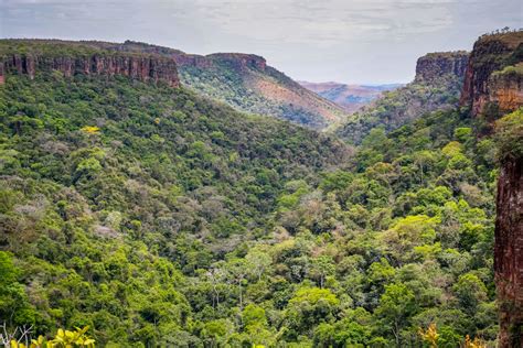 Chapada dos Guimaraes National Park (Official GANP Park Page)