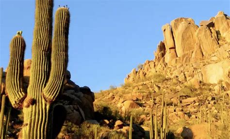 Scottsdale, AZ on Twitter: "Perfect weather to explore and then chow ...