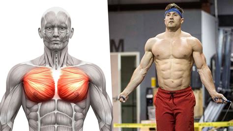 9 Best Chest Exercises for Maximum Muscle Growth | BOXROX