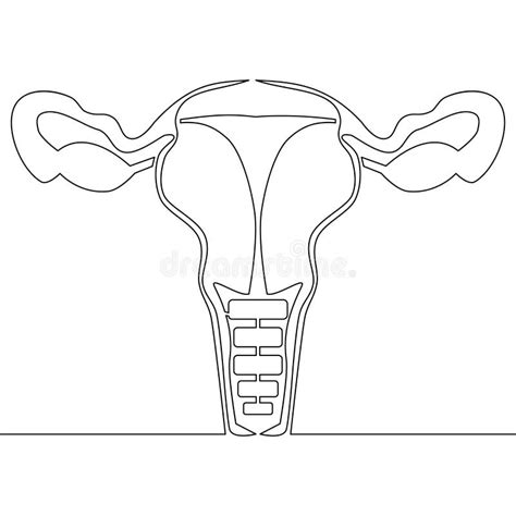 Uterus Women Stock Illustrations – 2,434 Uterus Women Stock ...