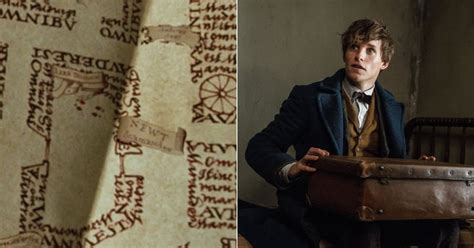 Newt Scamander in Harry Potter and the Prisoner of Azkaban | POPSUGAR ...